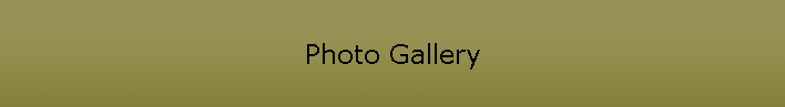 Photo Gallery